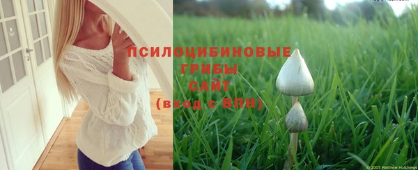 бошки Бугульма