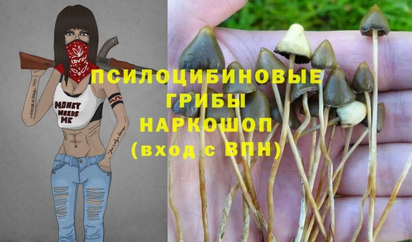 бутират Бронницы